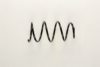 FIAT 60613563 Coil Spring